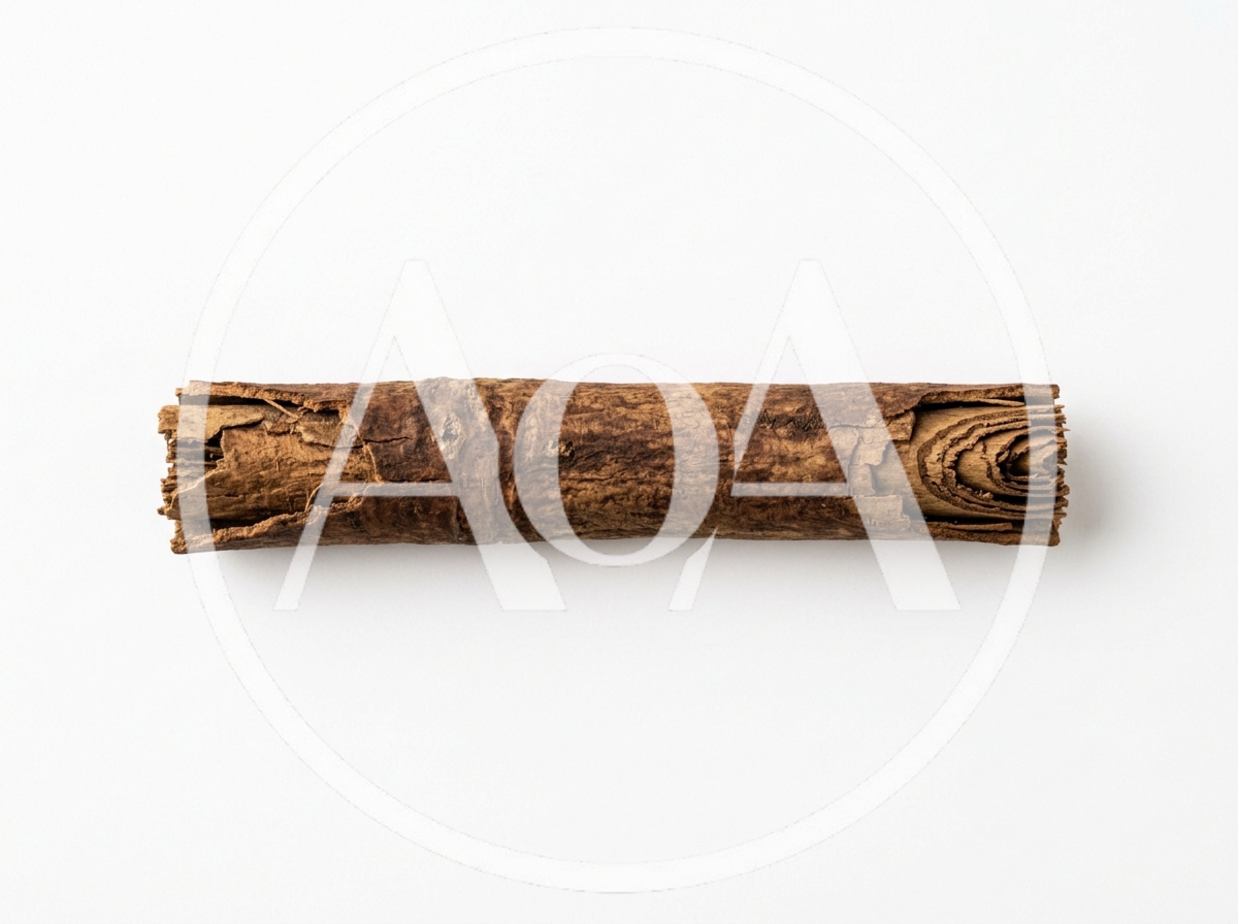 Single Cinnamon Stick Isolated On White Background