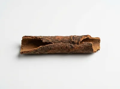 Single Cinnamon Stick Isolated On White Background