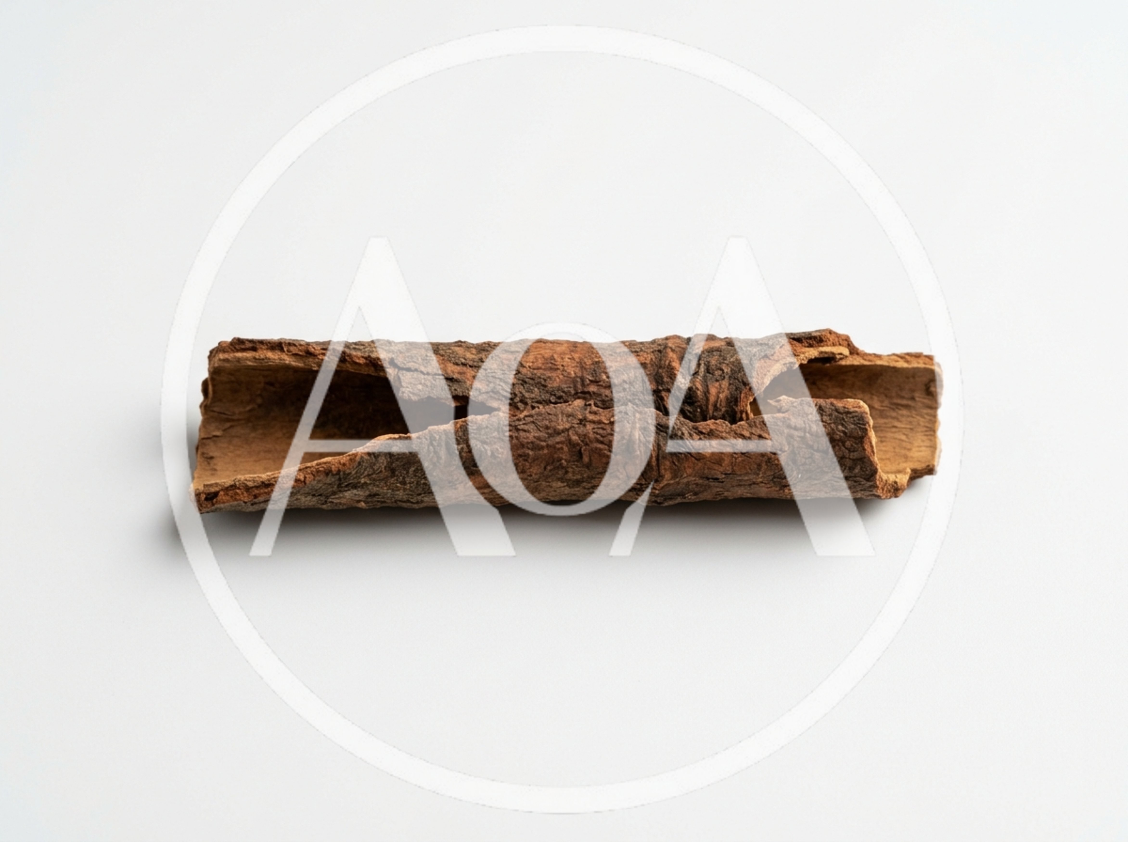 Single Cinnamon Stick Isolated On White Background