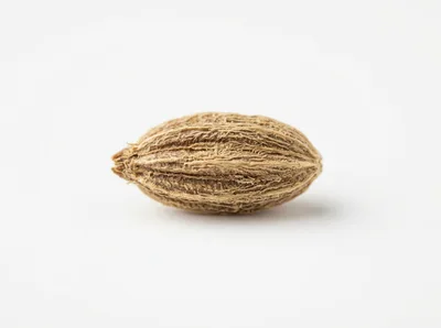 Single Dried Brown Cardamom Pod on White Background