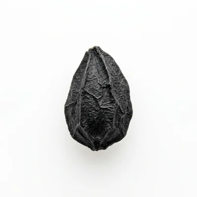 Single Black Garlic Clove Isolated On White Background