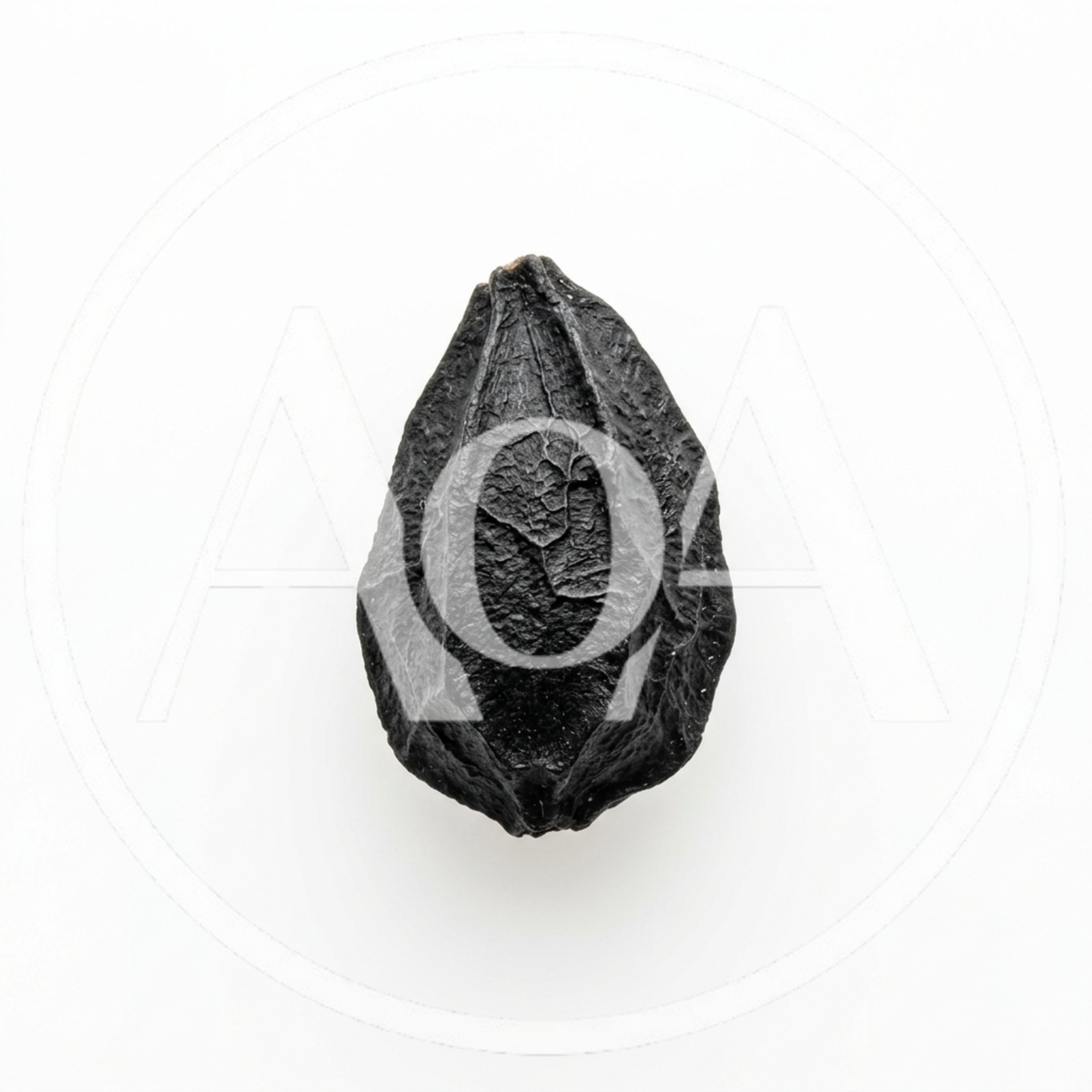 Single Black Garlic Clove Isolated On White Background