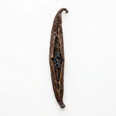 Single Split Vanilla Bean Pod On White Background