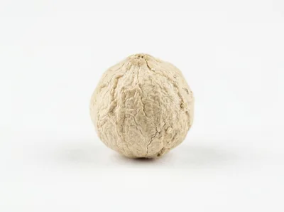 Single Dried White Peppercorn Seed
