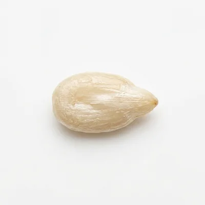 Single Shelled Sunflower Seed Kernel Isolated