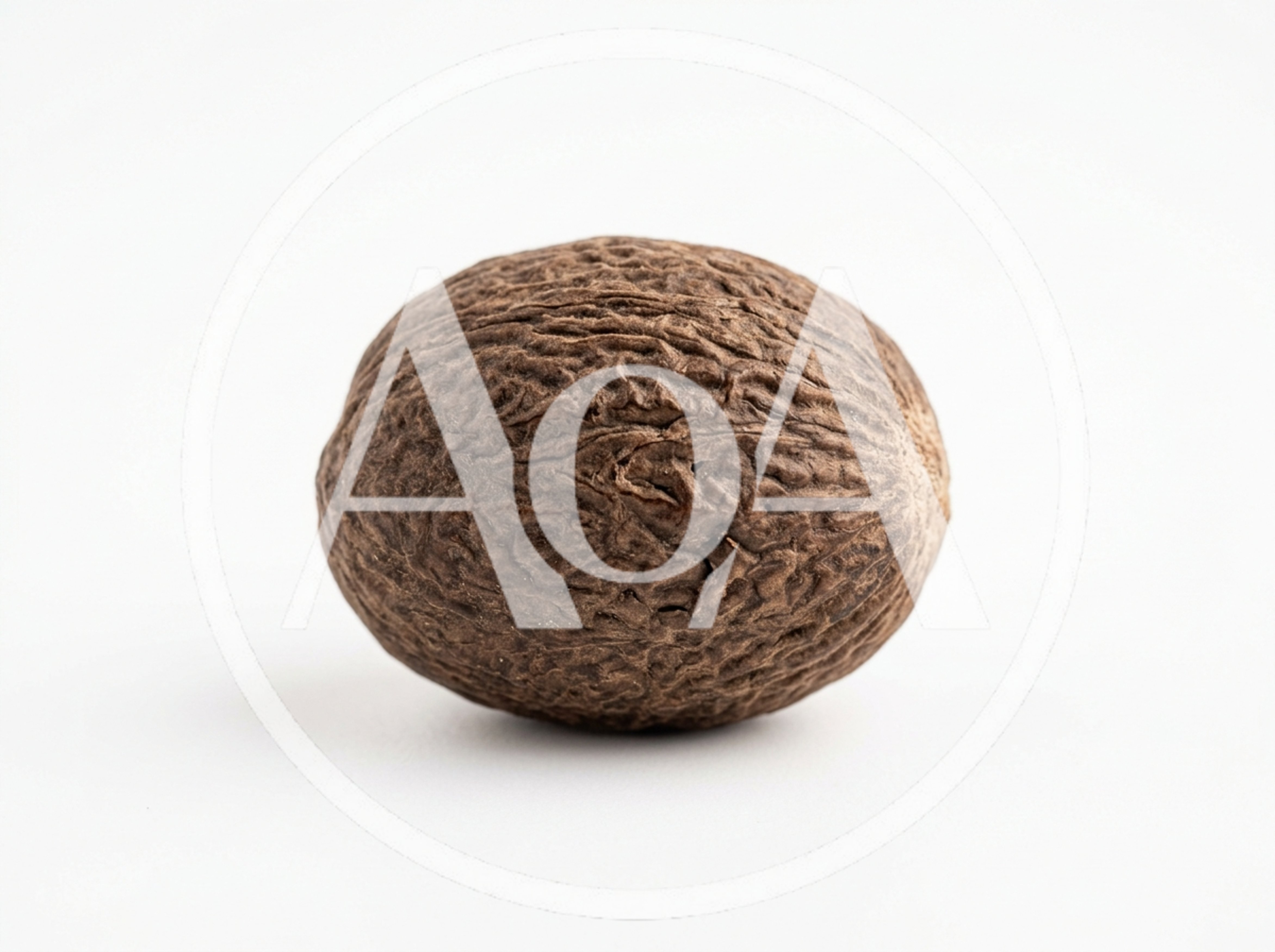 Single Whole Nutmeg Seed Isolated On White Background