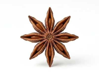 Single Star Anise Spice Pod Isolated On White