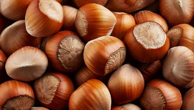 Close Up Of Fresh Raw Hazelnuts