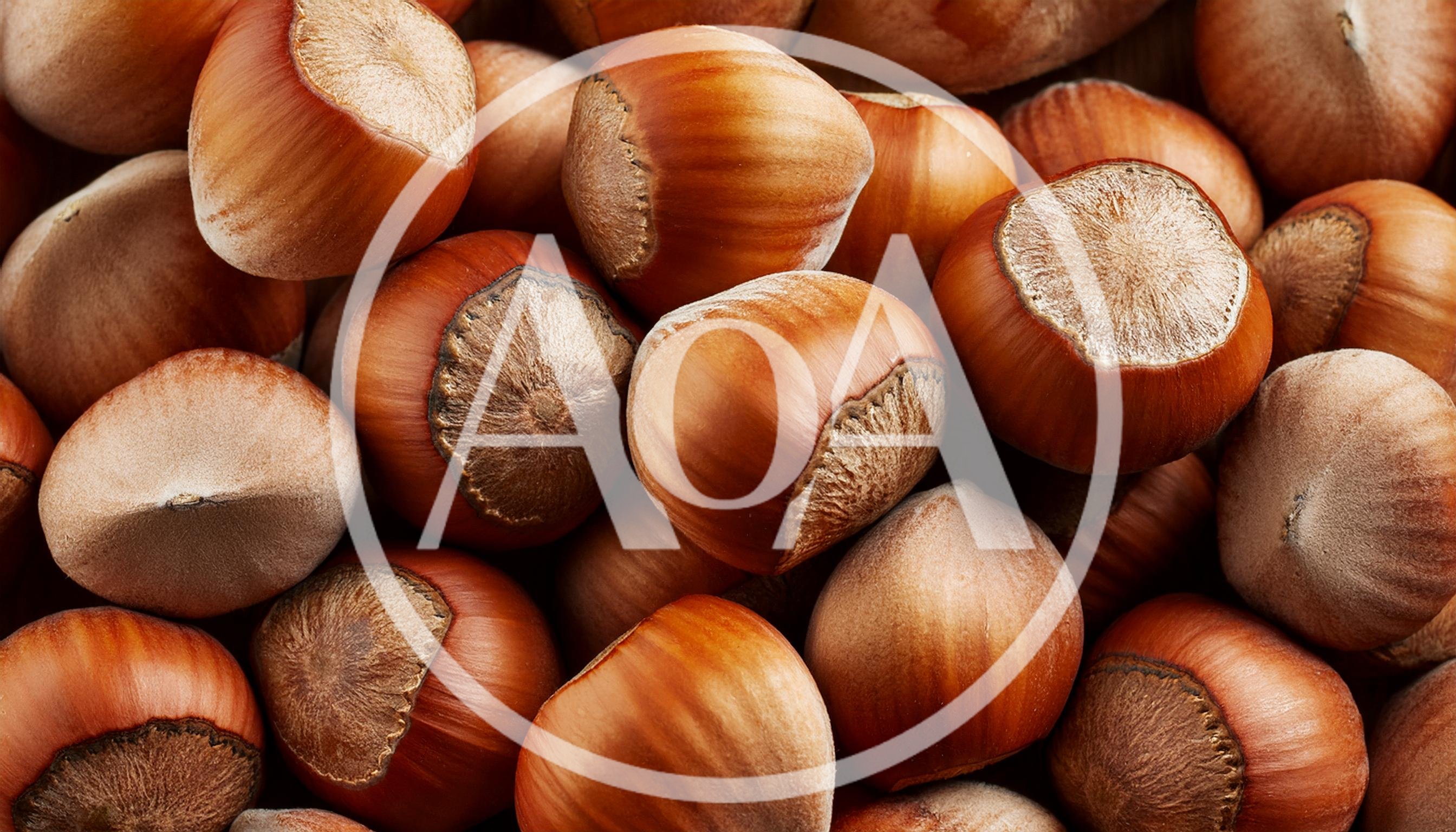 Close Up Of Fresh Raw Hazelnuts