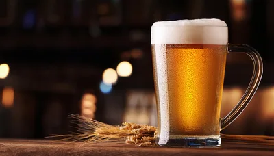 Cold Glass Of Beer With Wheat Stalks