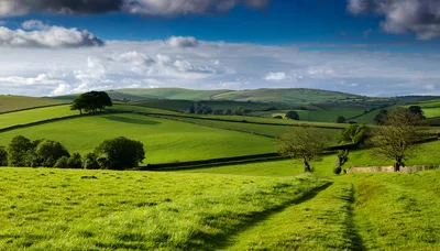 Rolling Green Hills Of The English Countryside