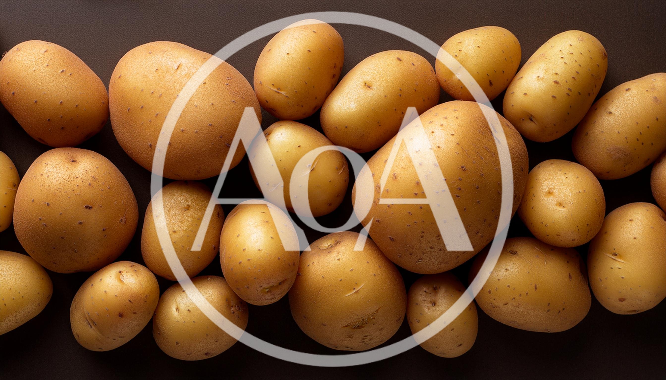 Fresh Raw Potatoes Scattered On Dark Background