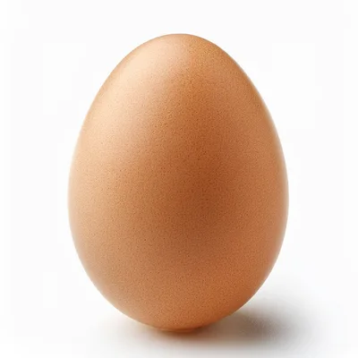 Single Brown Chicken Egg Isolated On White Background