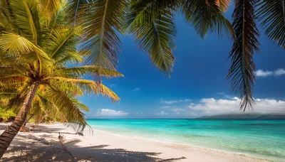 Tropical Beach Scene With Palm Trees And Turquoise Water