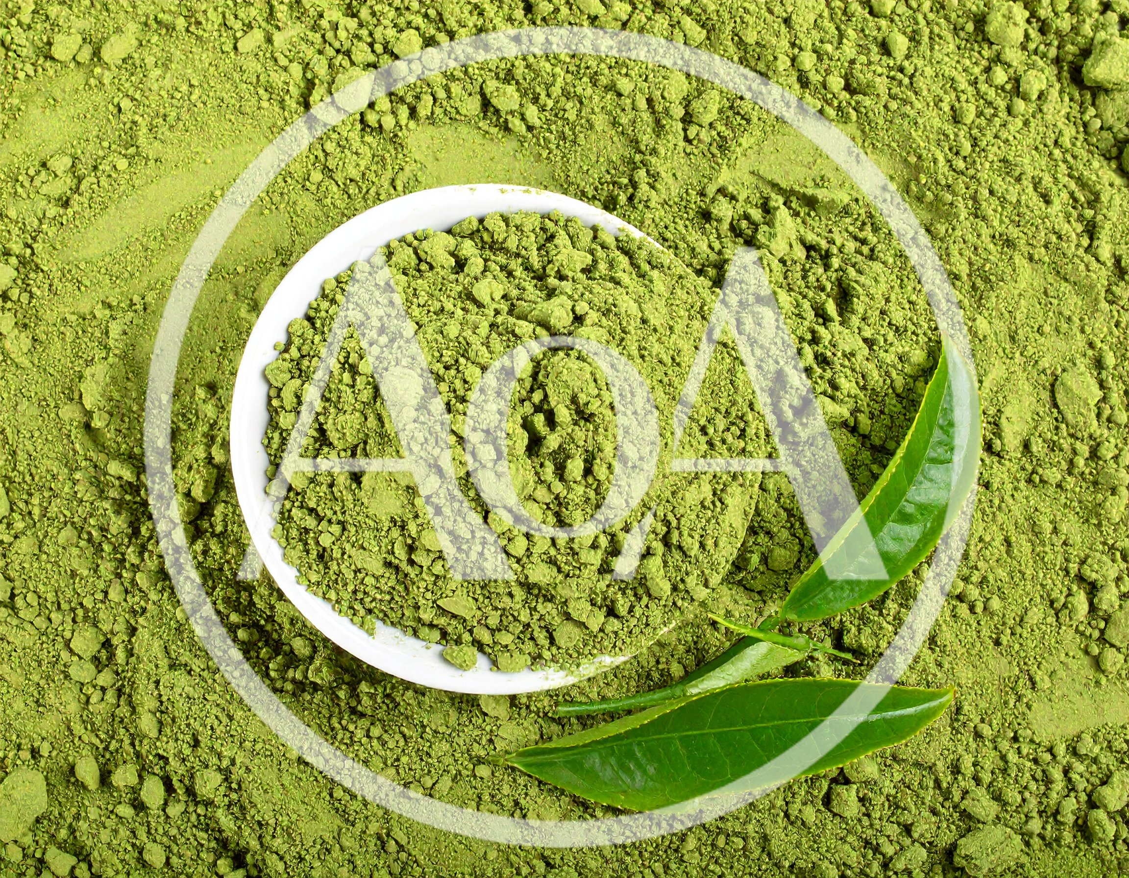 Matcha Green Tea Powder in White Bowl