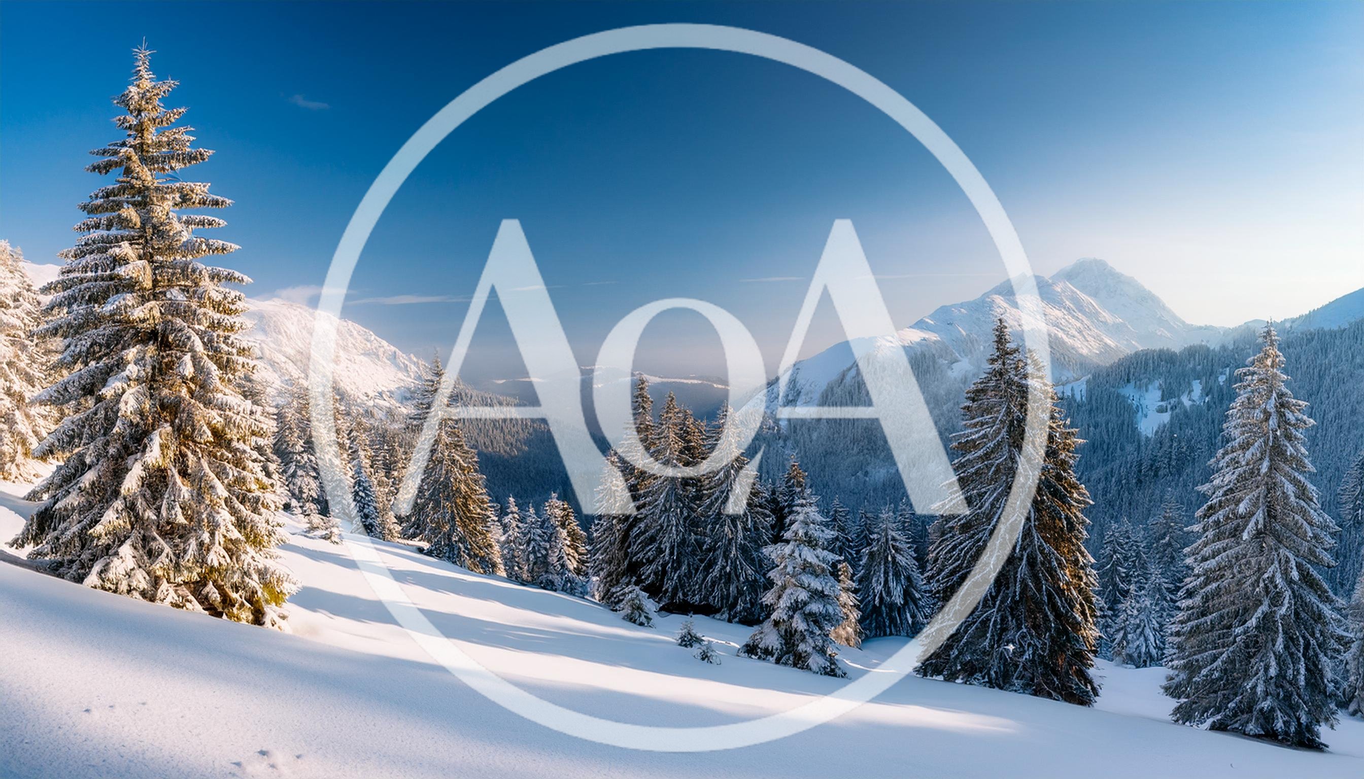 Snow Covered Pine Trees In A Mountain Landscape