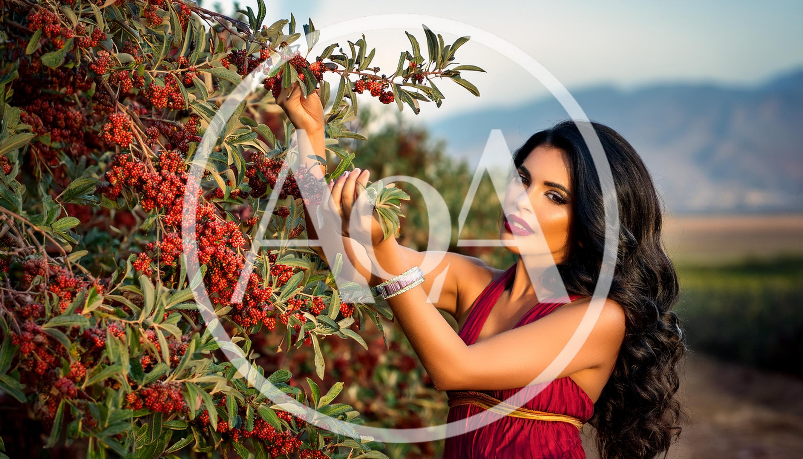 Beautiful Woman Picking Red Berries in a Sunny Orchard