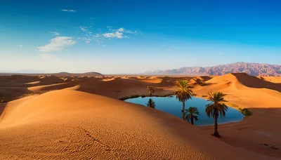 Oasis With Palm Trees In The Sahara Desert