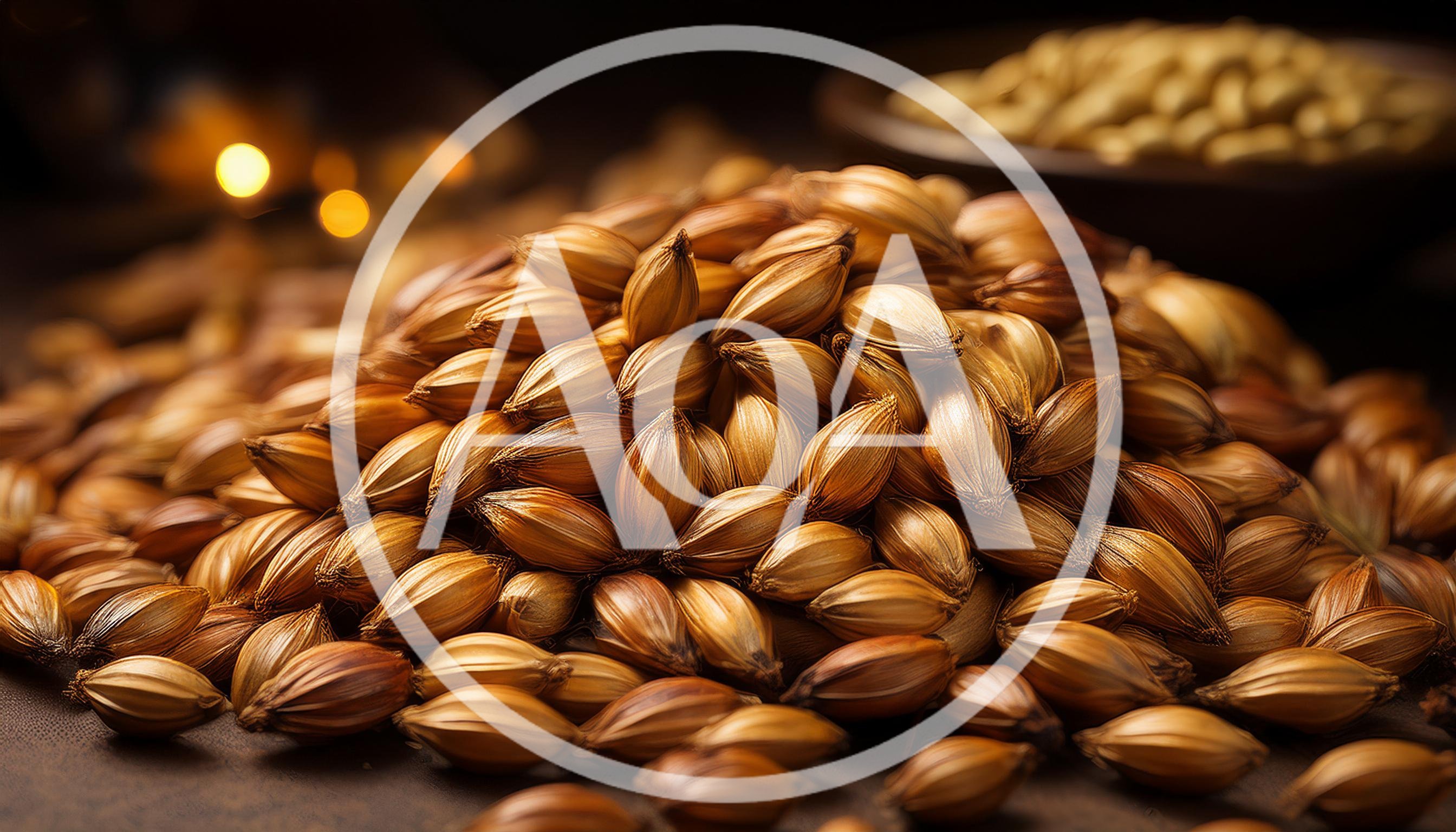 Close Up Of Roasted Barley Grains