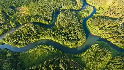 Aerial View Of A Winding River Through Dense Forest