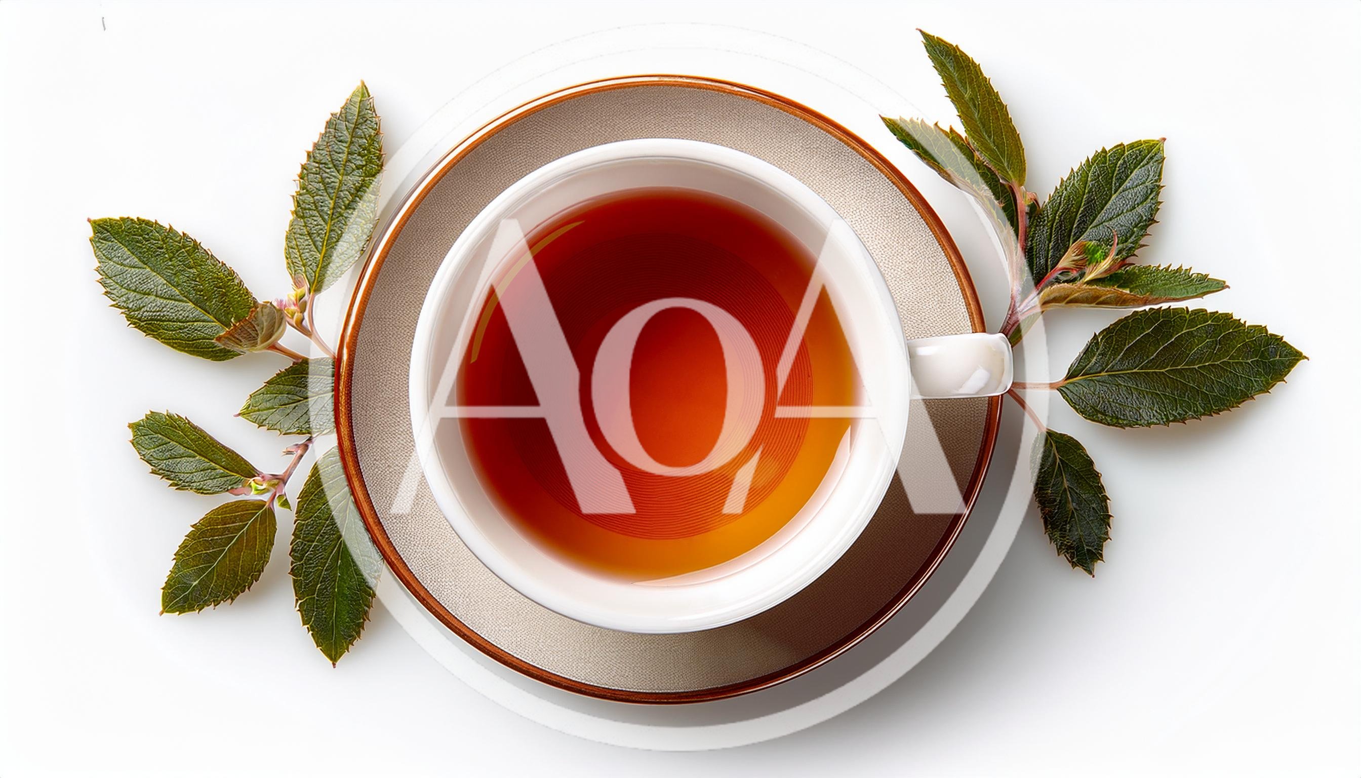 Top View Of Tea Cup With Green Leaves