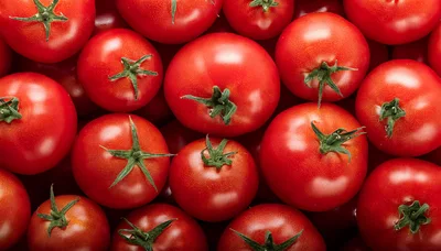 Fresh Red Tomatoes Background