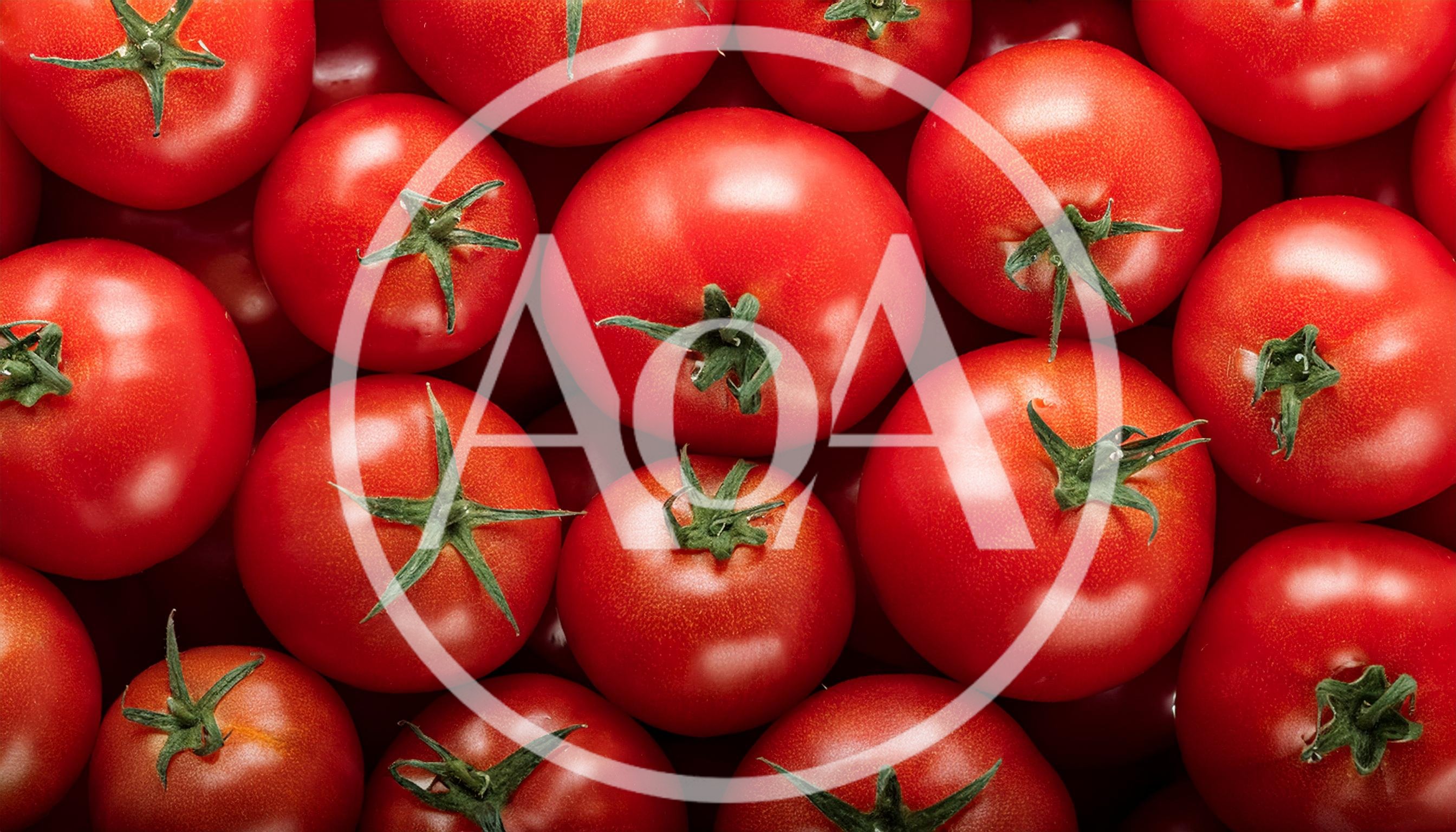 Fresh Red Tomatoes Background