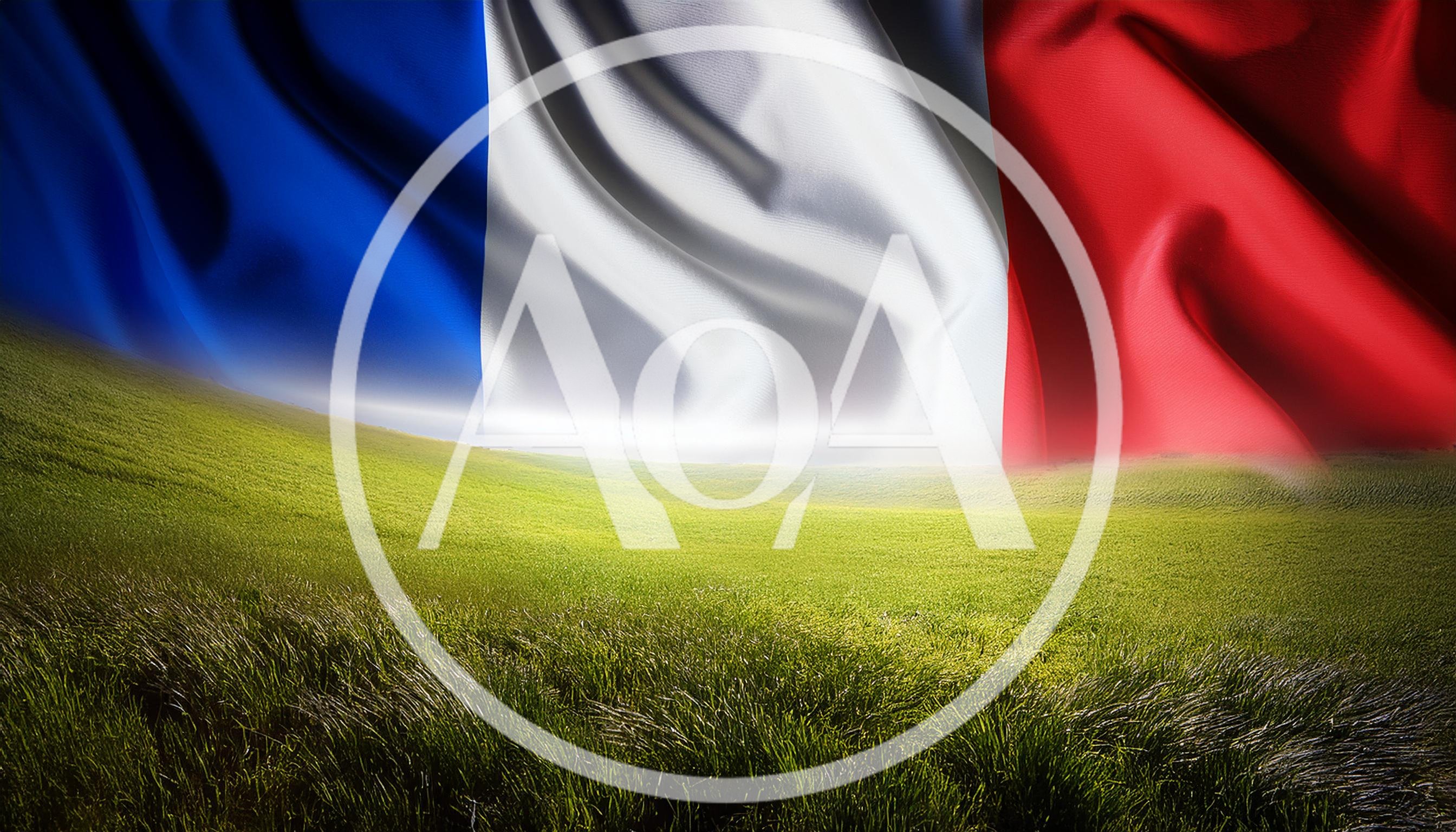 French Flag Waving Over A Lush Green Field