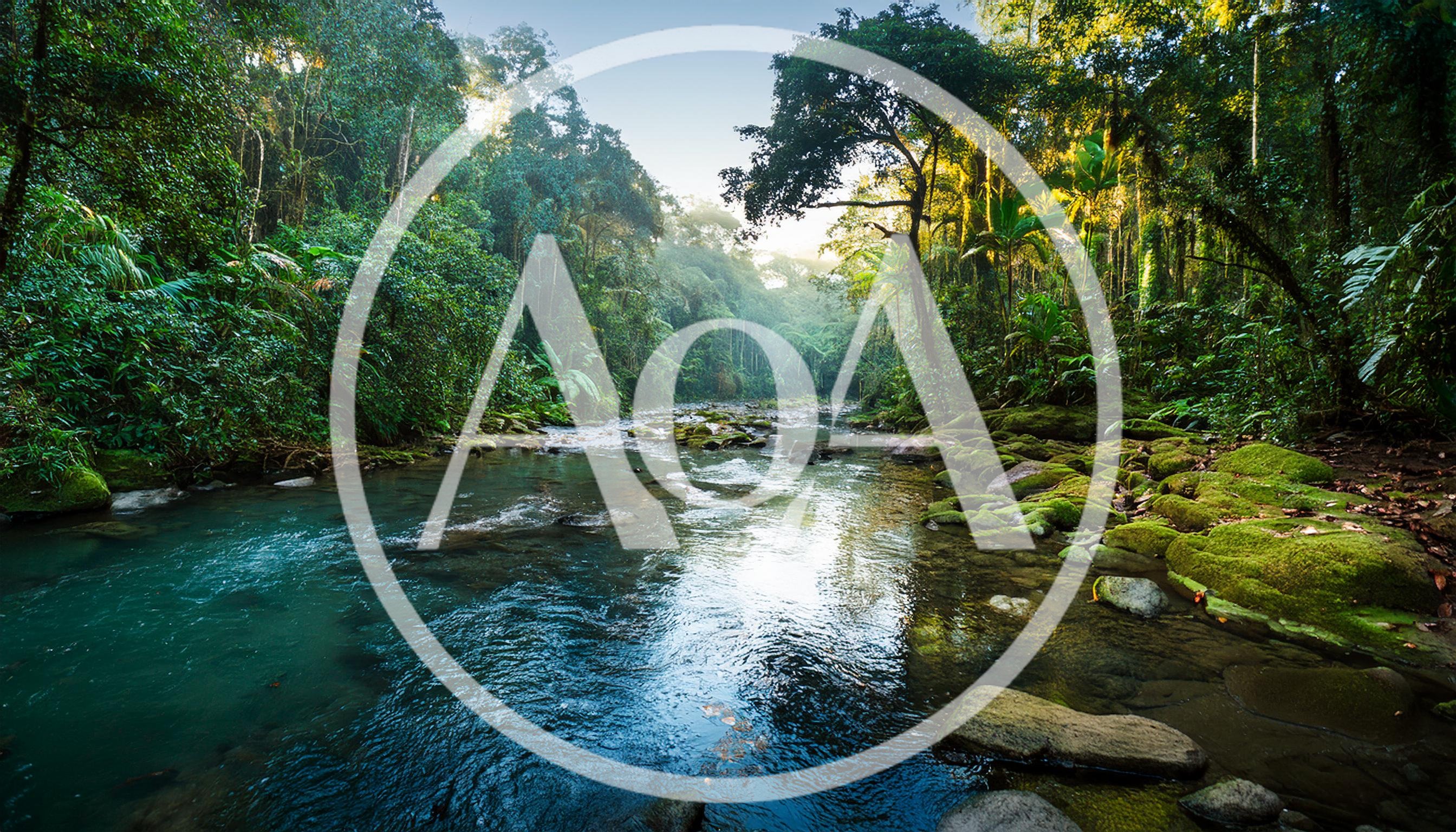Serene Tropical River Flowing Through Lush Rainforest