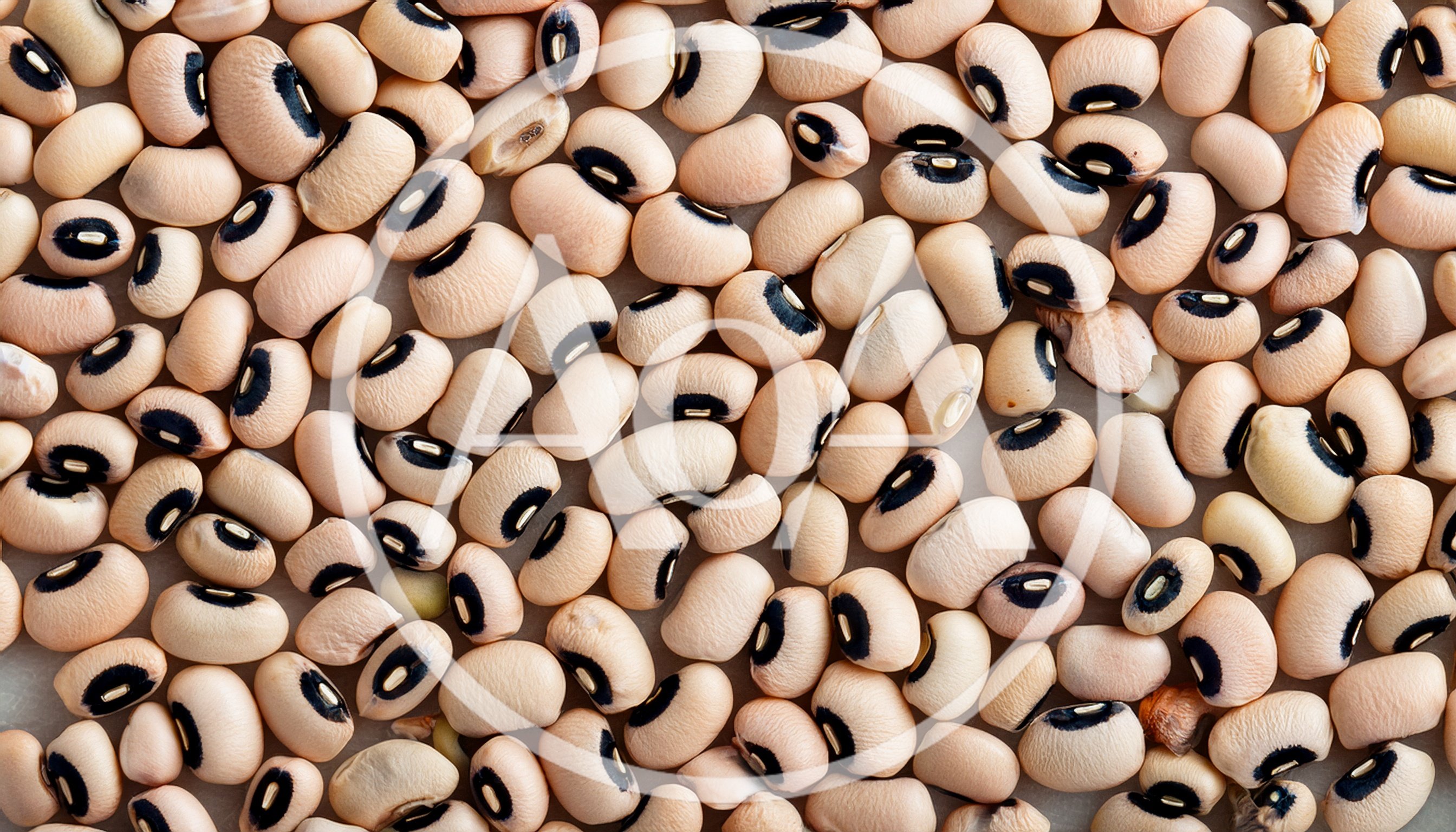 Top View Of Raw Black Eyed Peas