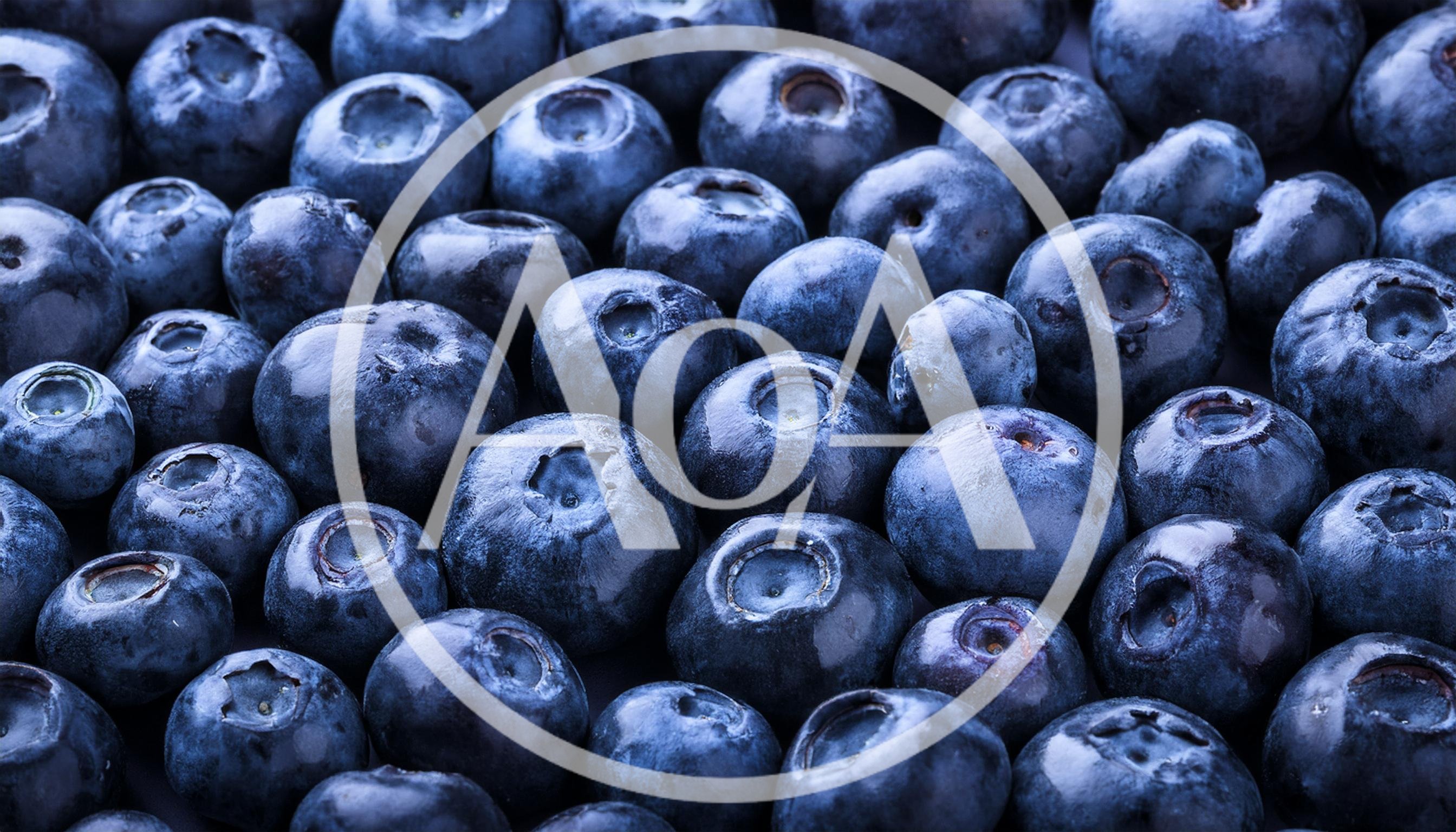 Fresh Ripe Blueberries Background Texture