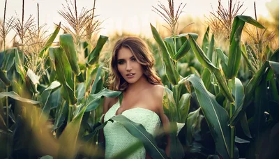 Young Woman Posing In A Cornfield At Sunset