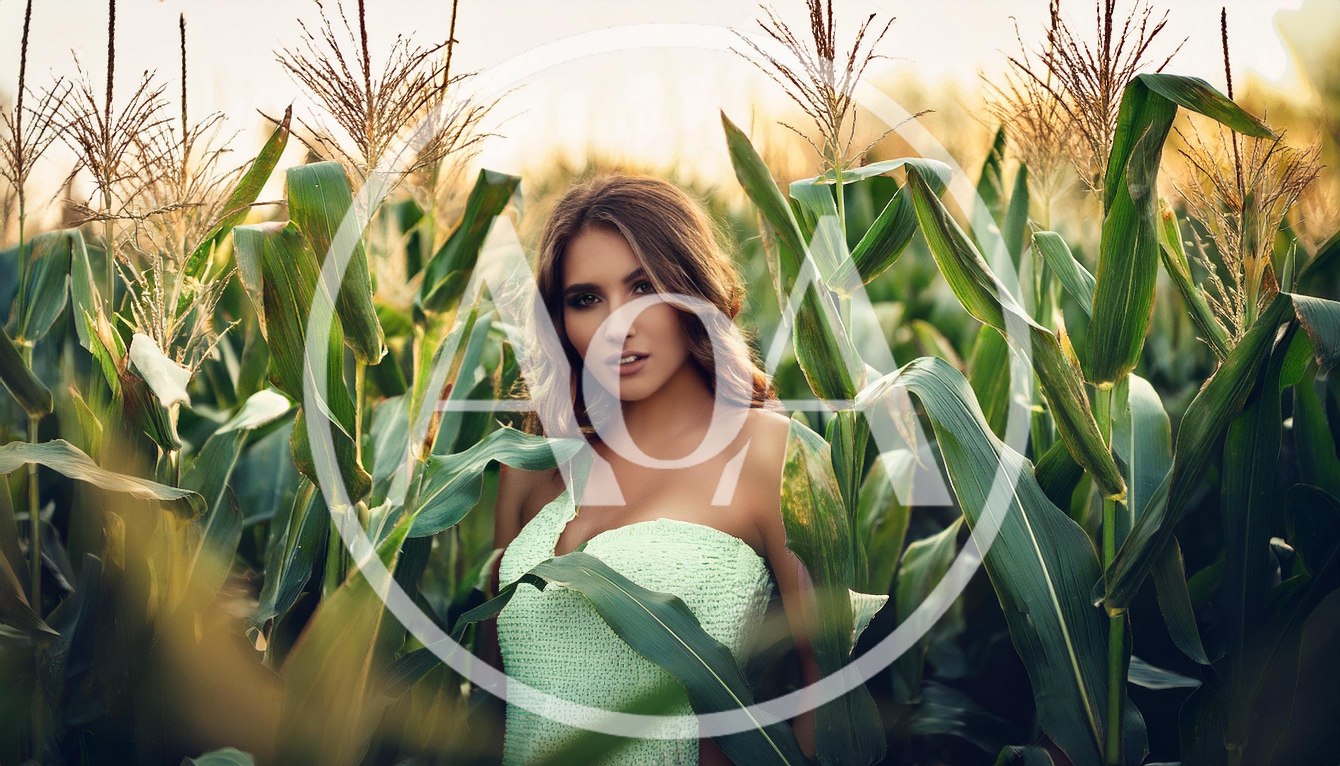 Young Woman Posing In A Cornfield At Sunset