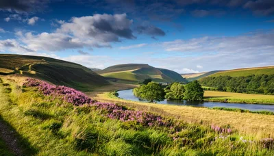 Scenic River Valley Landscape With Purple Heather
