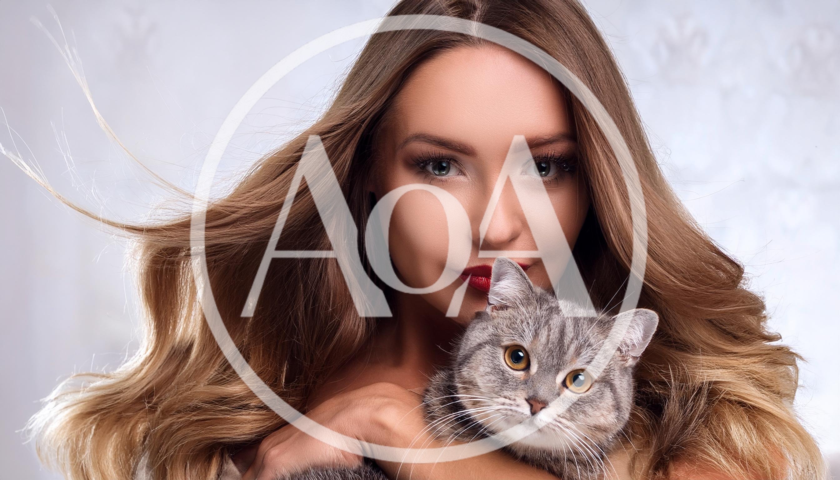 Beautiful Woman Holding A Cute Grey Tabby Cat