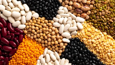 Assorted Dried Legumes and Beans Variety