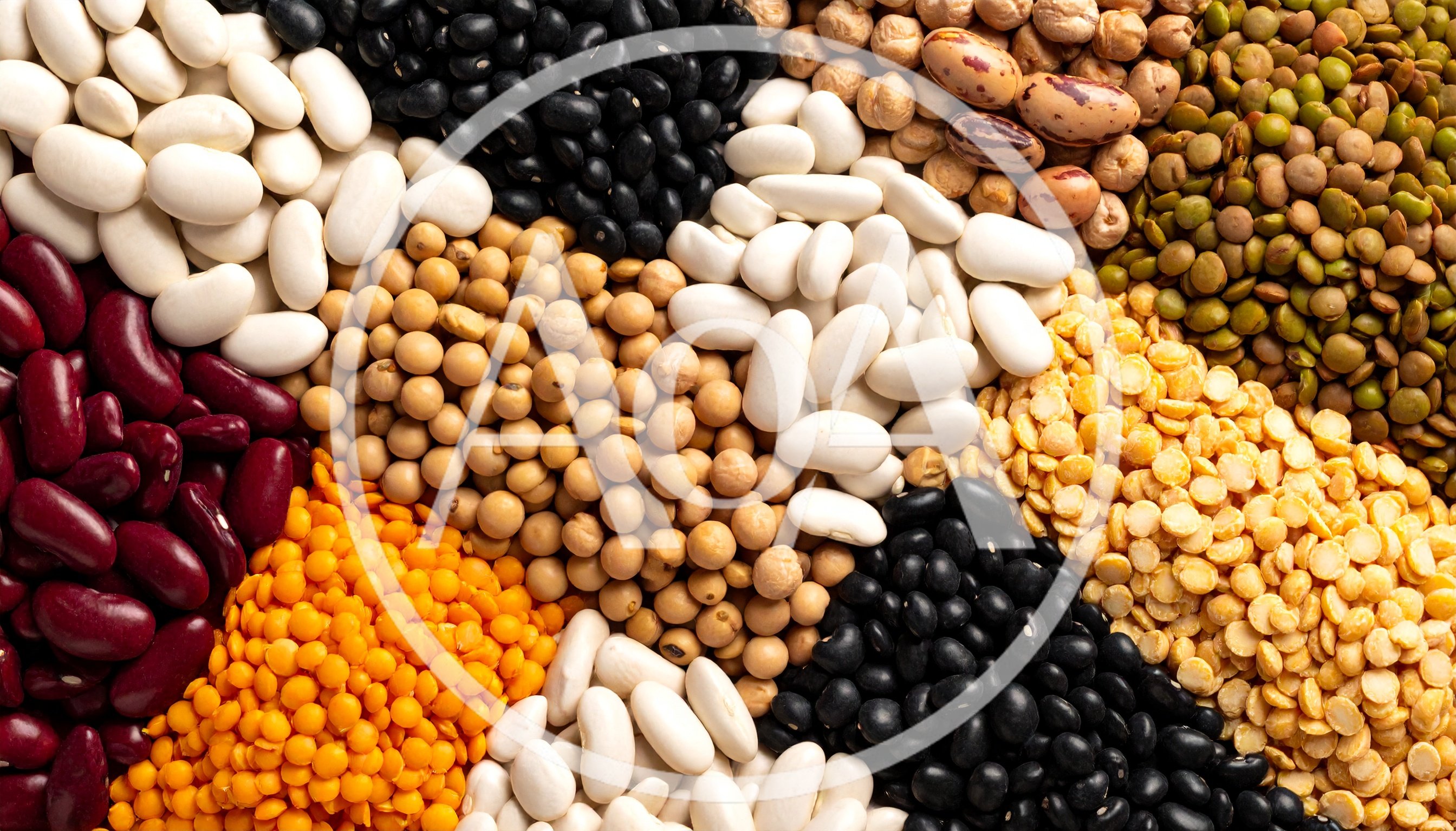 Assorted Dried Legumes and Beans Variety
