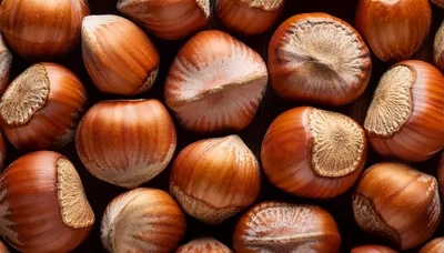 Top Down View Of Fresh Raw Hazelnuts