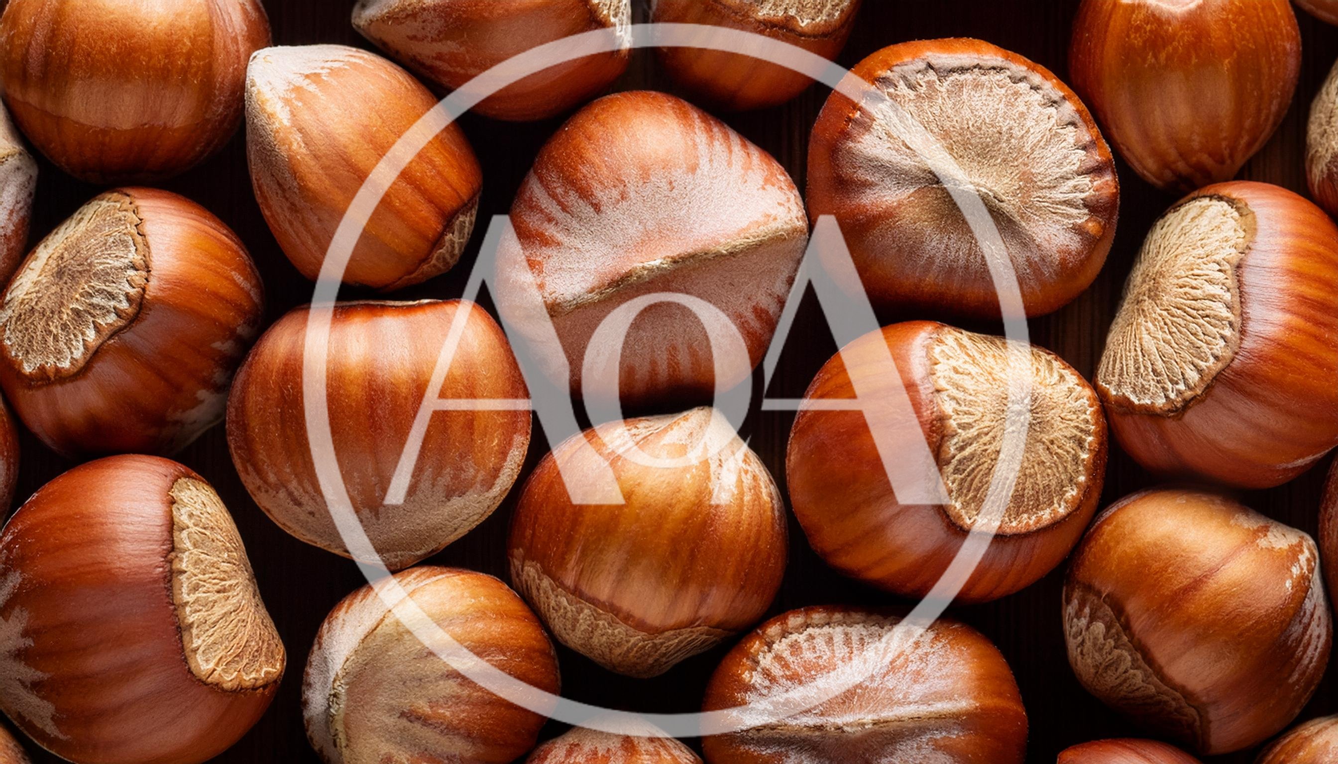 Top Down View Of Fresh Raw Hazelnuts