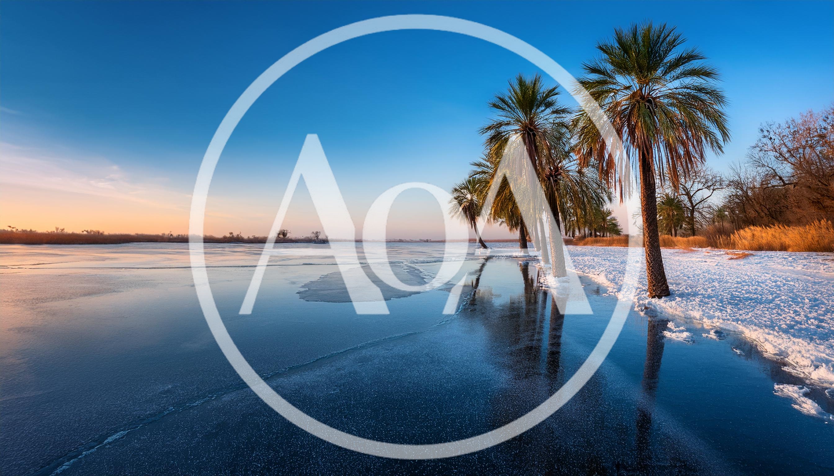 Palm Trees Along A Frozen Lake At Sunrise