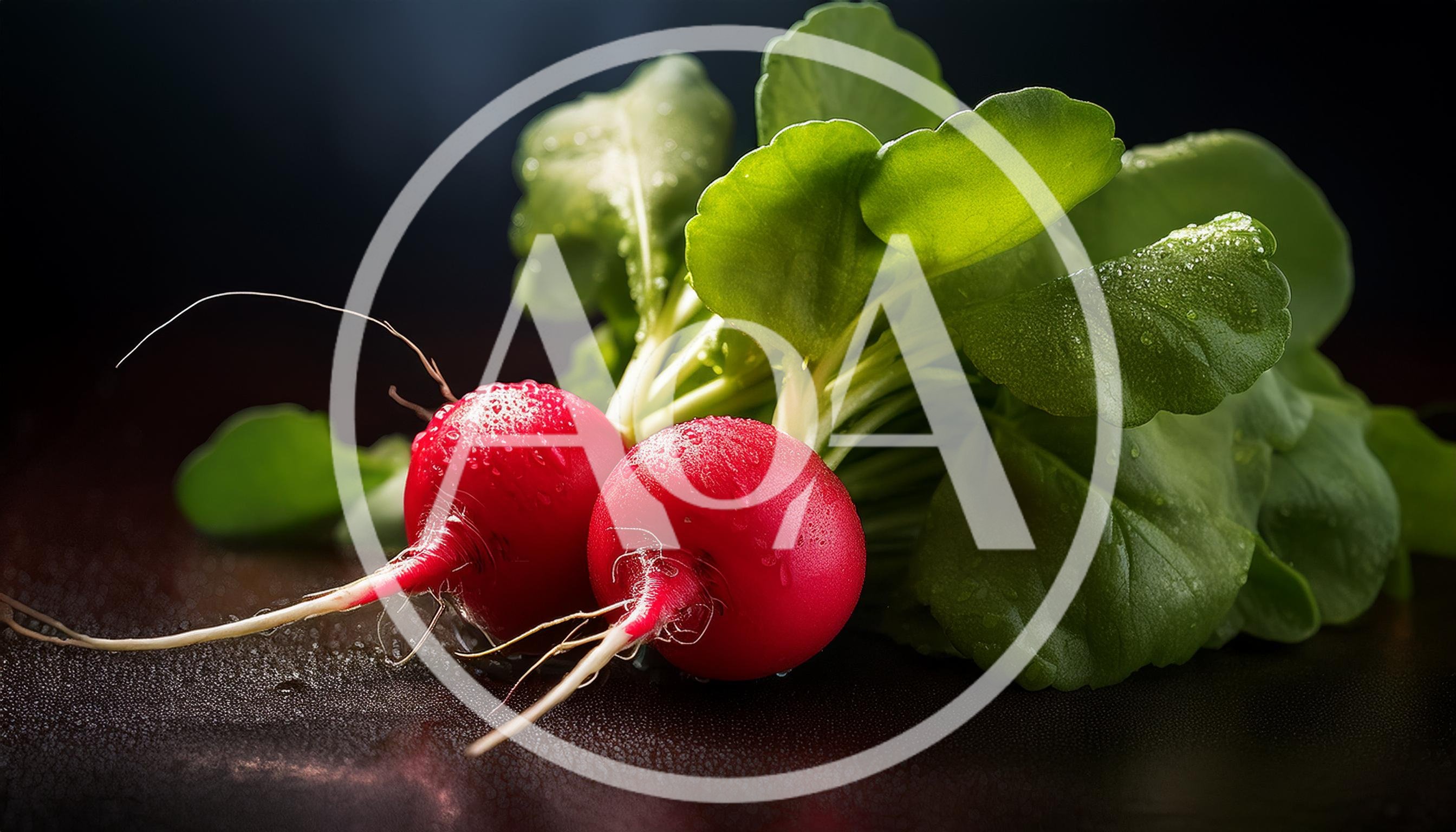 Two Fresh Red Radishes With Green Leaves