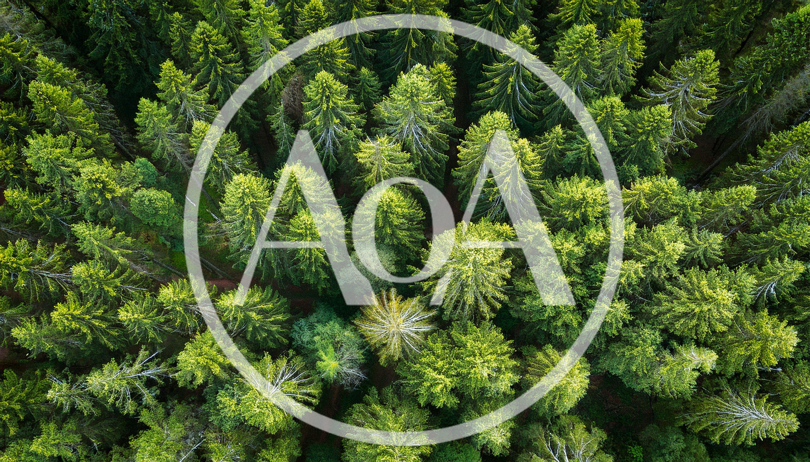Aerial View Of A Dense Coniferous Forest