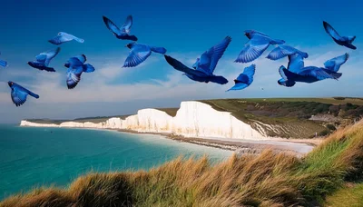 Flock Of Vibrant Blue Birds Flying Over White Cliffs