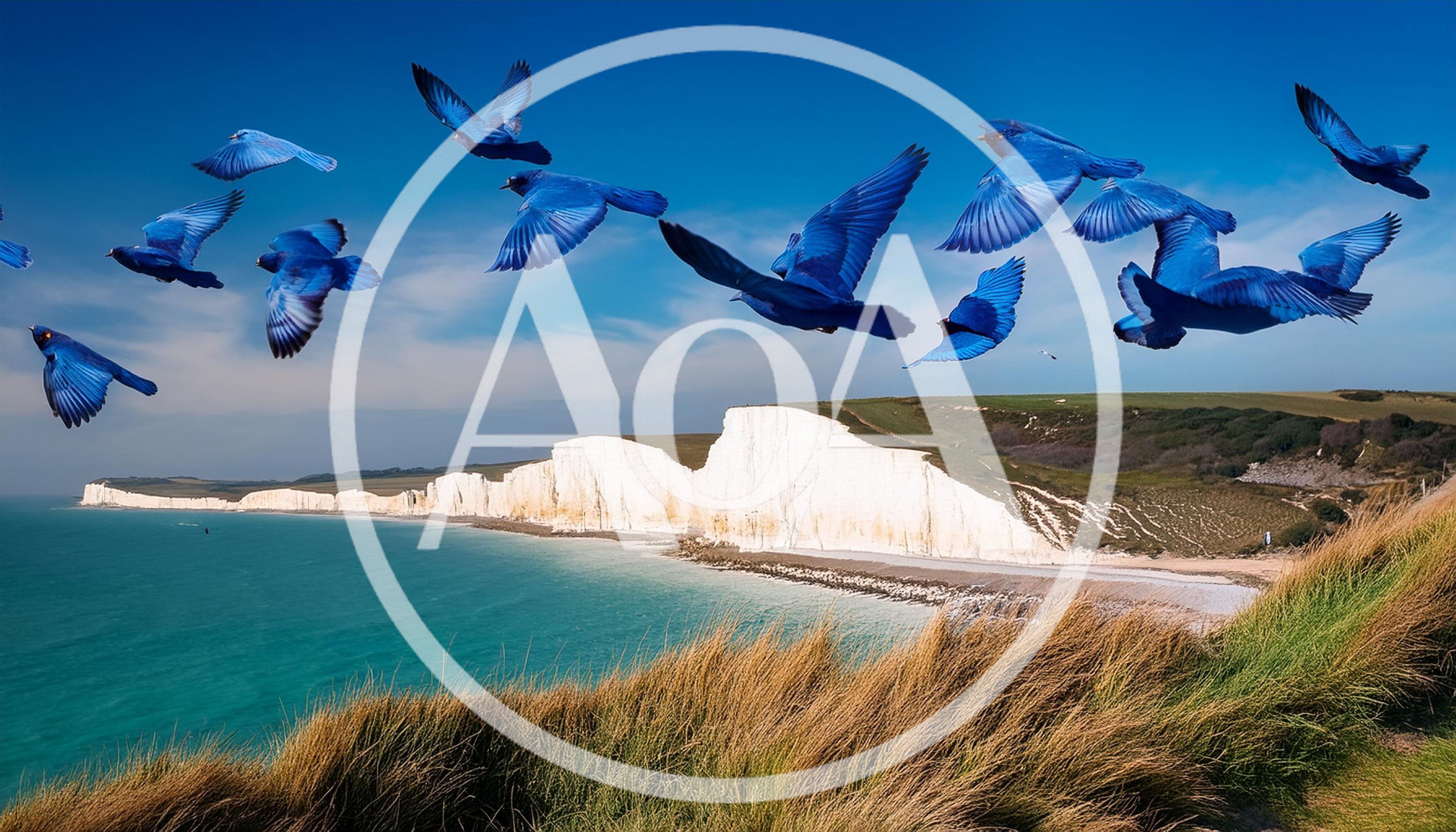 Flock Of Vibrant Blue Birds Flying Over White Cliffs