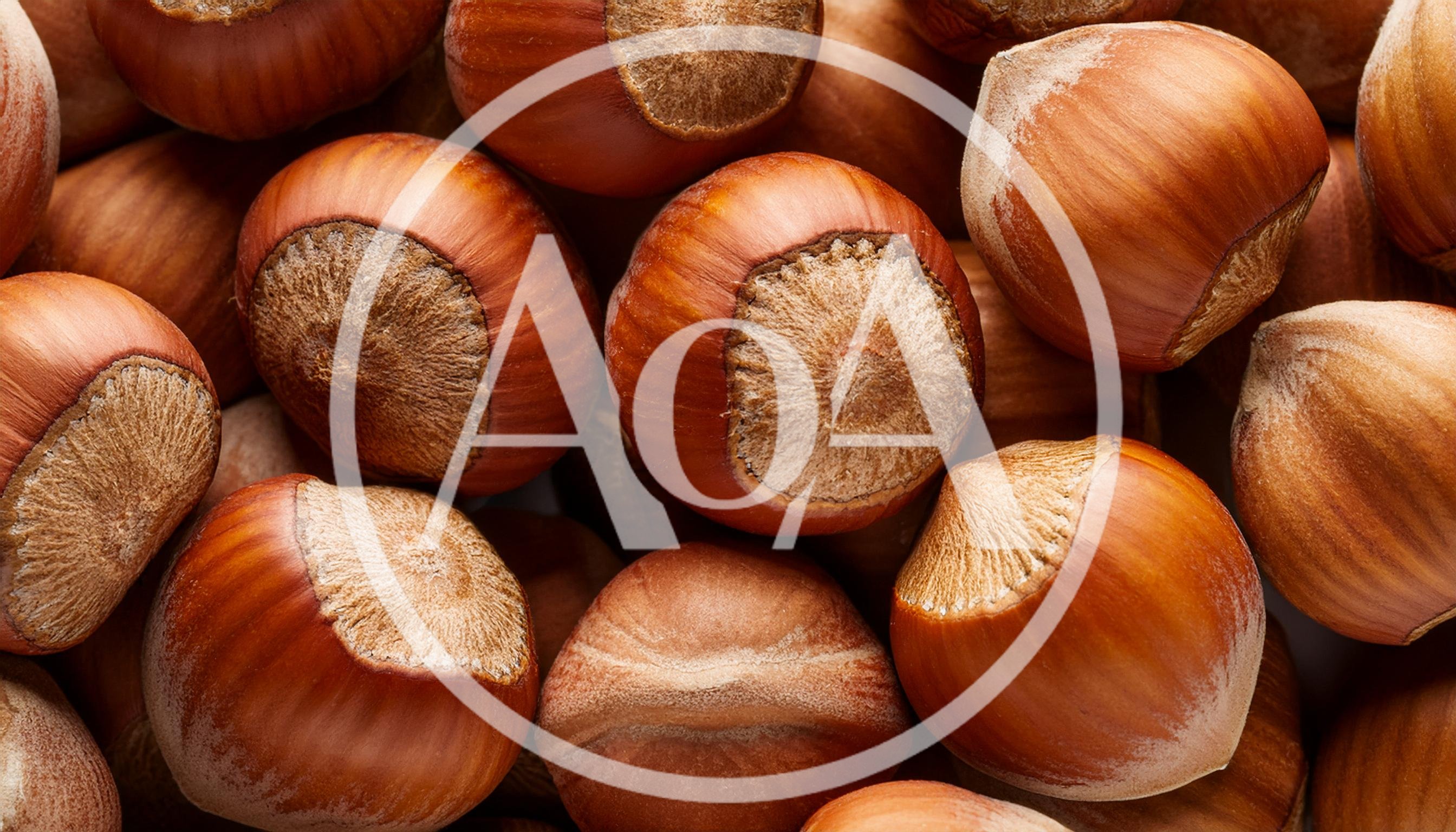 Close Up Of Fresh Raw Hazelnuts