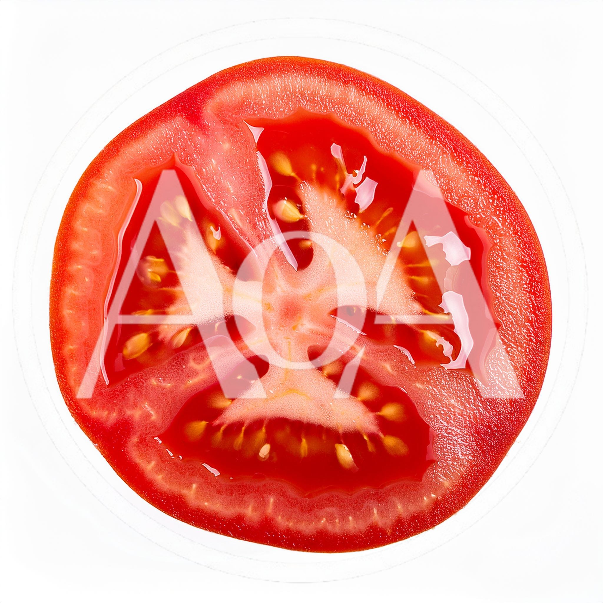 Fresh Red Tomato Slice Isolated On White Background