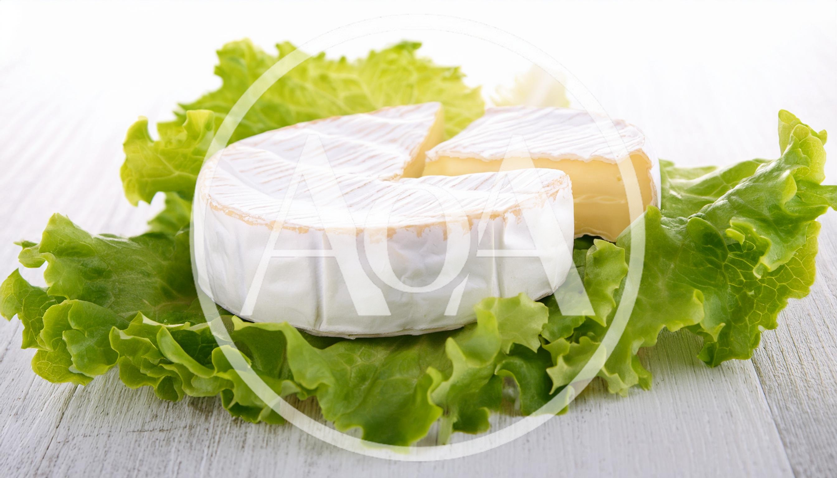 Wheel Of Brie Cheese On Fresh Green Lettuce