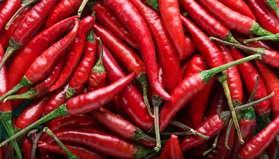 Fresh Red Chili Peppers Background