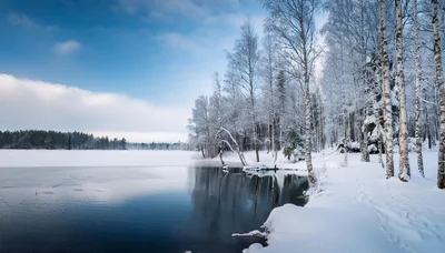 Winter Landscape With Frozen Lake And Snow Covered Trees