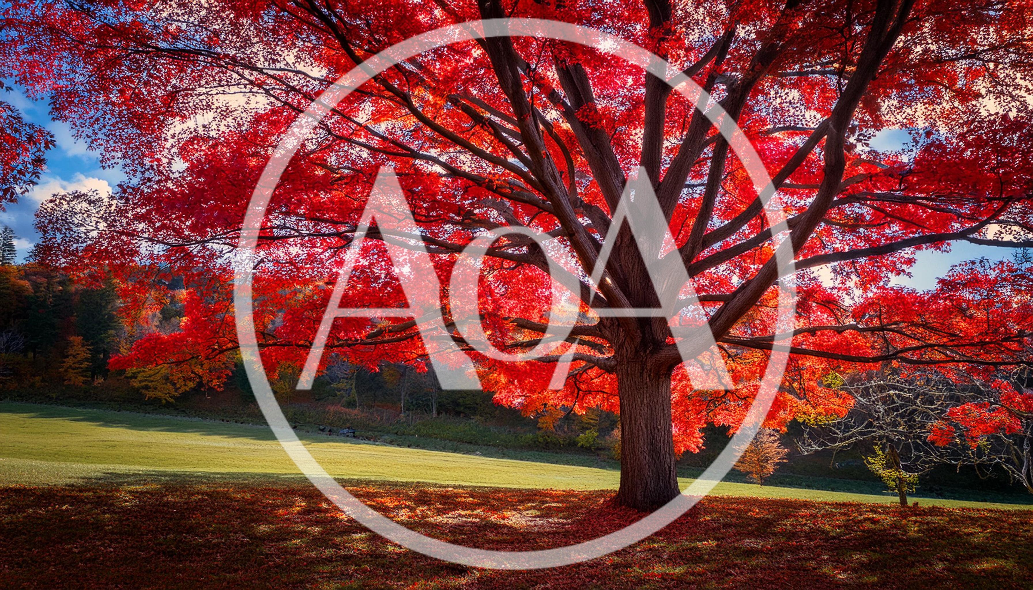 Vibrant Red Maple Tree In Autumn Landscape